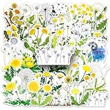 Dandelion Stickers,50PCs, Dandelion Laptop Decals Gift Toddlers Teens Girls Cute Cool Kawaii Tools Decorations DIY,Stickers for Hydro Flask
