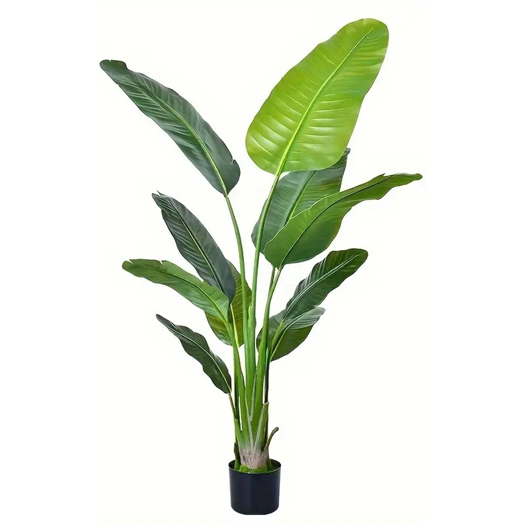 Generic Decorhills Artificial Monstera Plant Strelitzia Nicolai Plant for Livingroom, Bedroom, Balcony, Garden, Office (MBP-160-10)