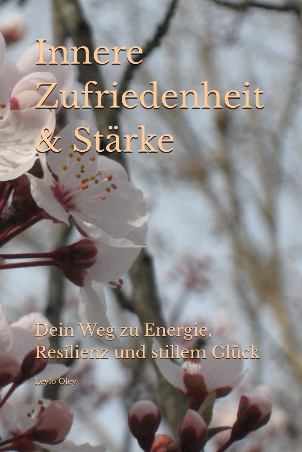 Innere Zufriedenheit & Stärke: Dein Weg zu Energie, Resilienz und stillem Glück