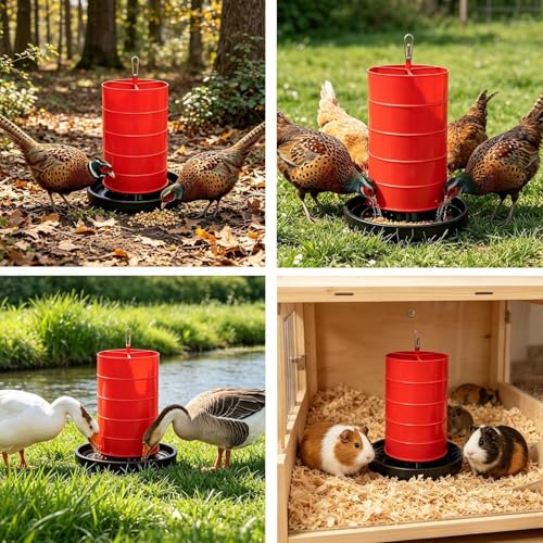 Abreuvoir pour poules et récipient d'eau pour poules, canards et lapins