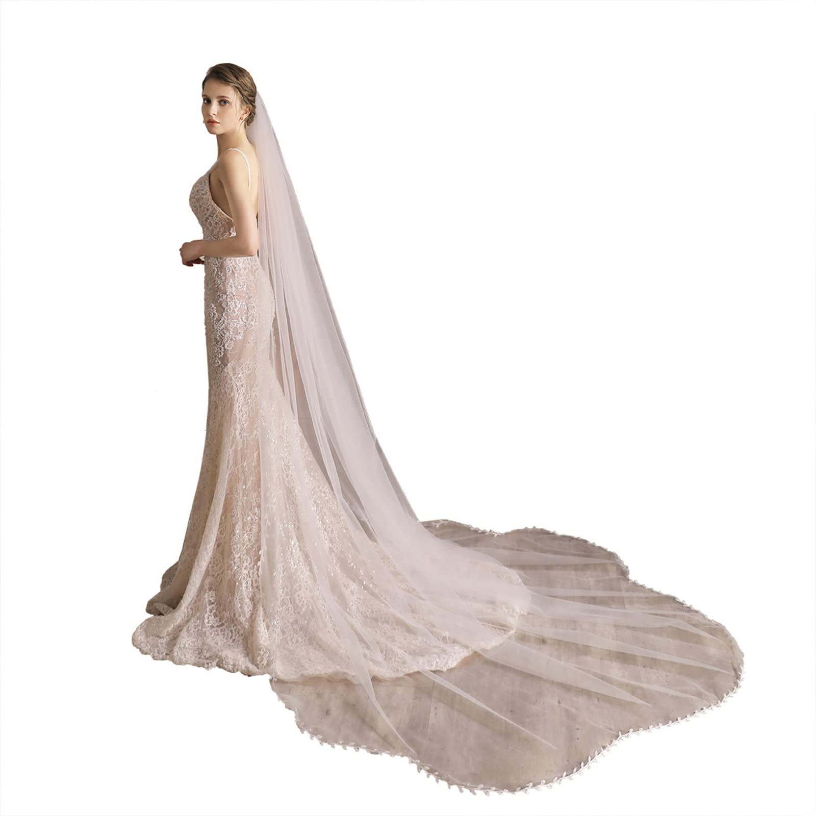 LARUISEE Bridal Veil With Comb Leaves Embroideries Trim Hair Accessories For Wedding Single Layer Sheer Tulle 118" Chapel Veils Wedding Bridal Veil With Comb Cathedral Chapel Length Lace Trim 1 Long