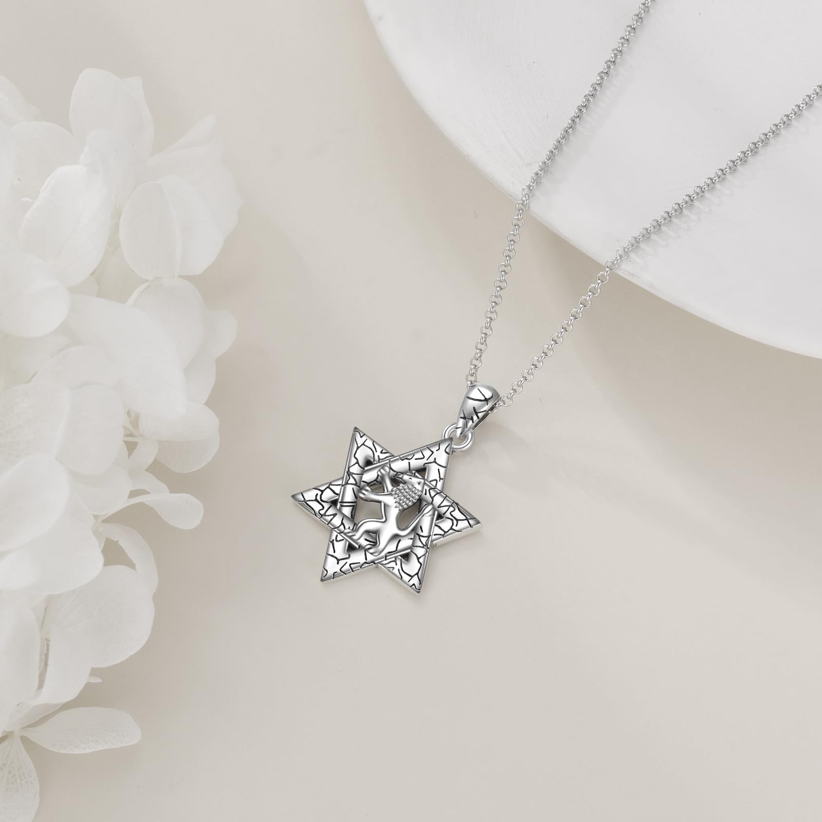 POPLYKE Collana con ciondolo a forma di stella di David, in argento Sterling, con ciondolo a forma di stella ebraica, idea regalo, Argento sterling