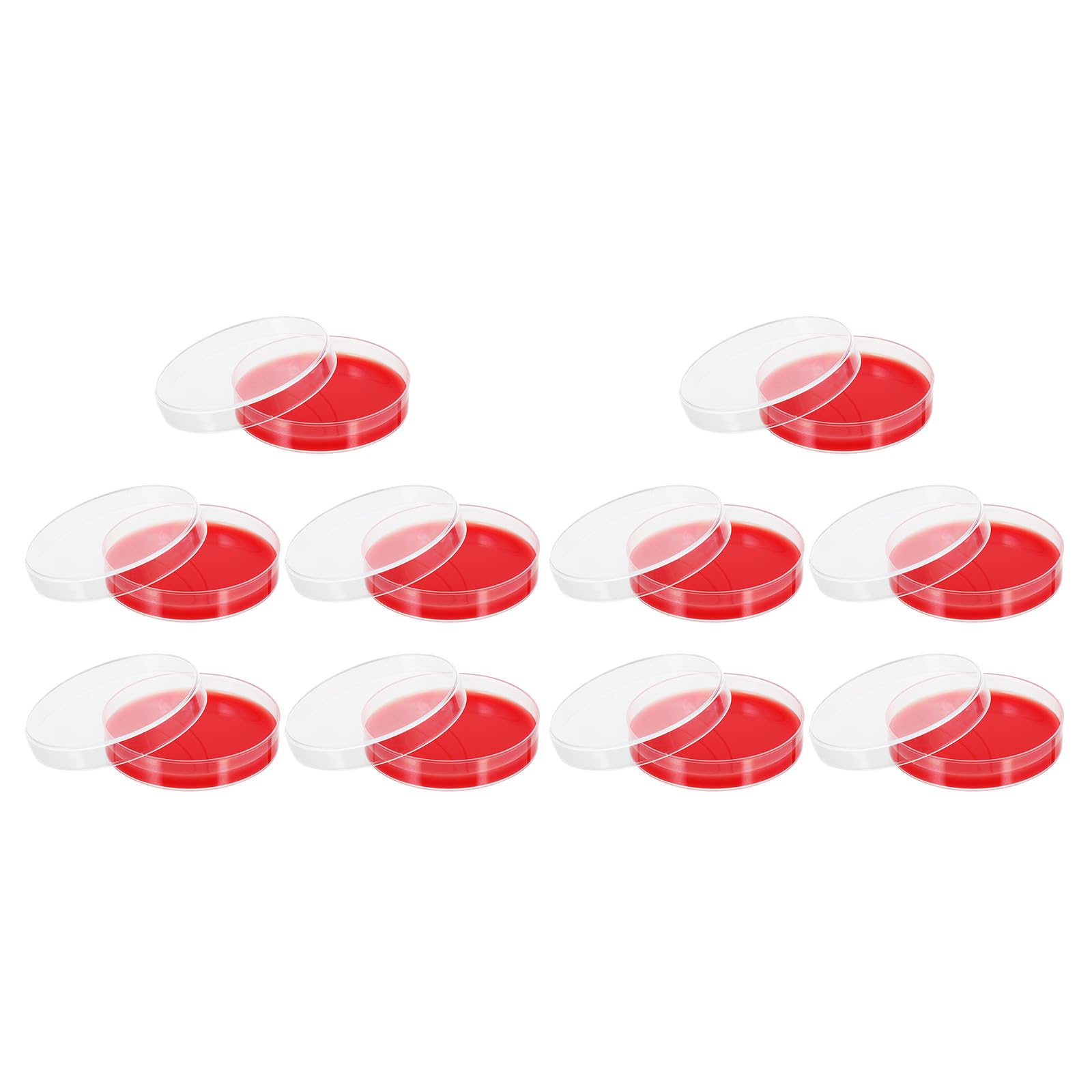 Placas de Agar Sangre Selectas 70 MM 10 Unidades Medio de Cultivo Laboratorio Placas Petri Cultivo Microbiológico Uso Hospitalario y Científico