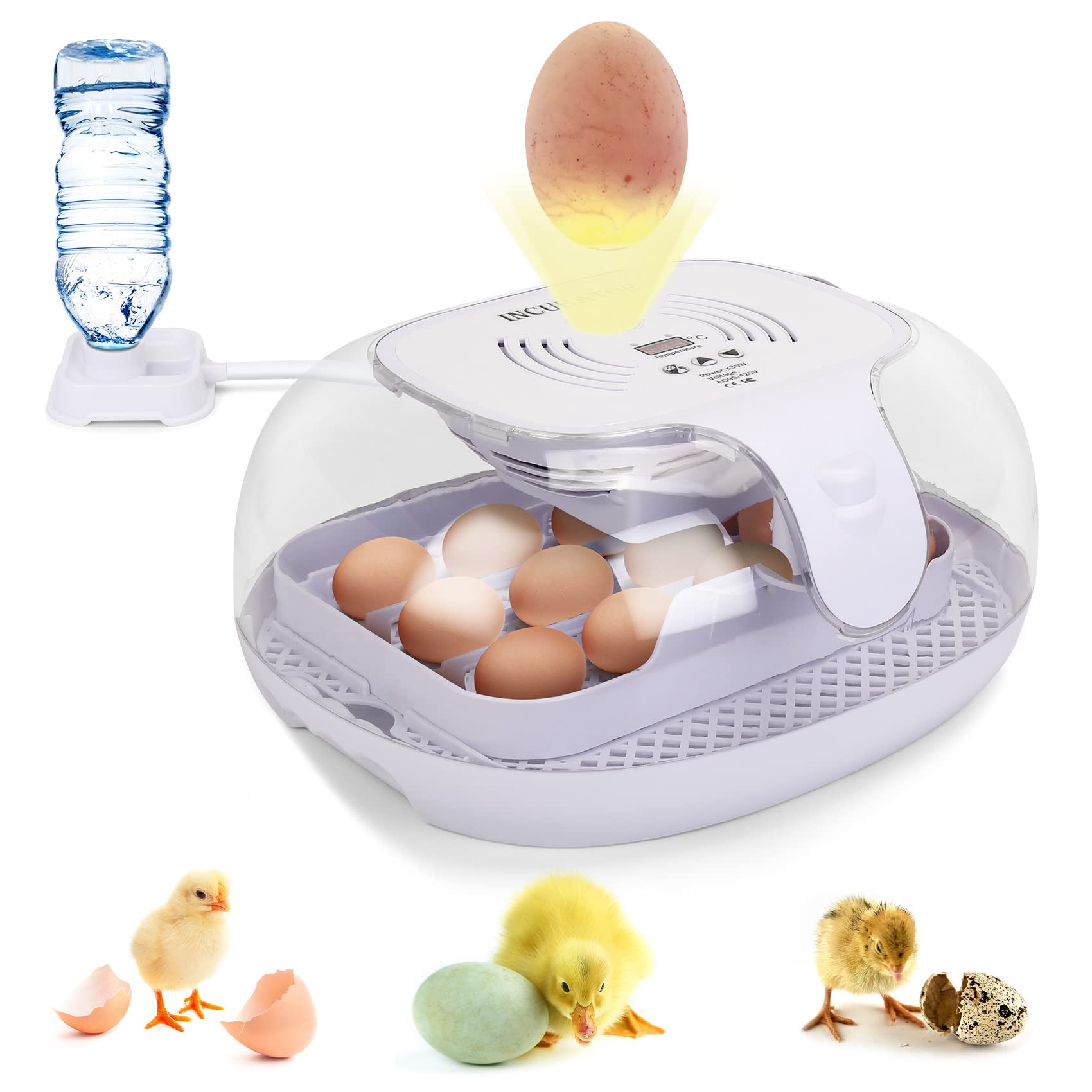 BTToyy Egg Incubator,Auto Digital Incubator for Hatching Eggs with Automatic Egg Turner,Poultry Incubation Set with Temperature Control & LED Candler (16 Eggs)