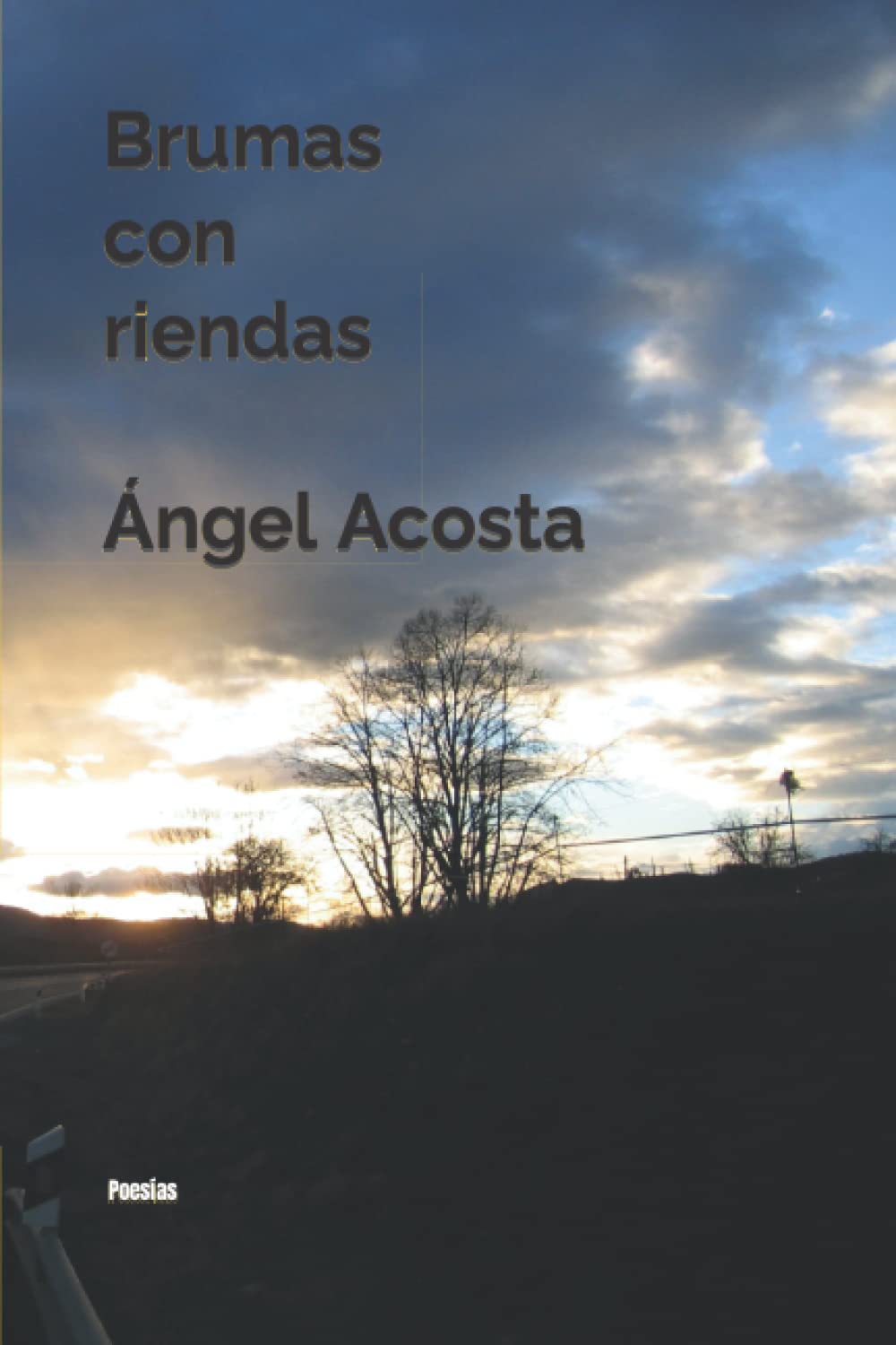 Brumas con riendas (Spanish Edition)