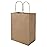 bagmad 100 Pack 8x4.75x10 Inch Plain Medium Paper Bags with Handles Bulk, Brown Kraft Craft Gift Bags, Grocery Shopping Retail Birthday Party Favors Wedding Sacks (Natural Brown, 100pcs)