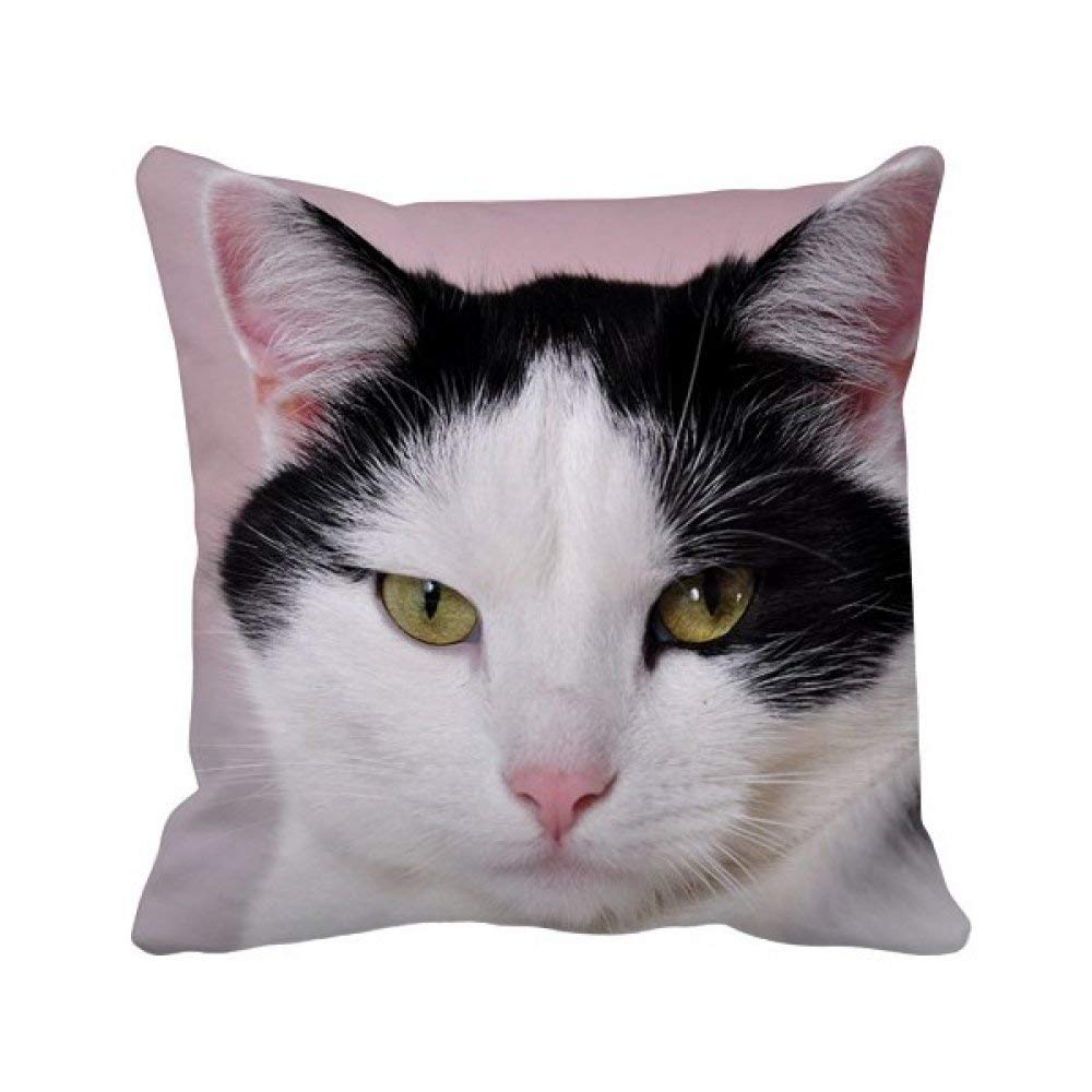 Housse de coussin carrée contre les poils d'animal domestique tuxedo Billicat lavable