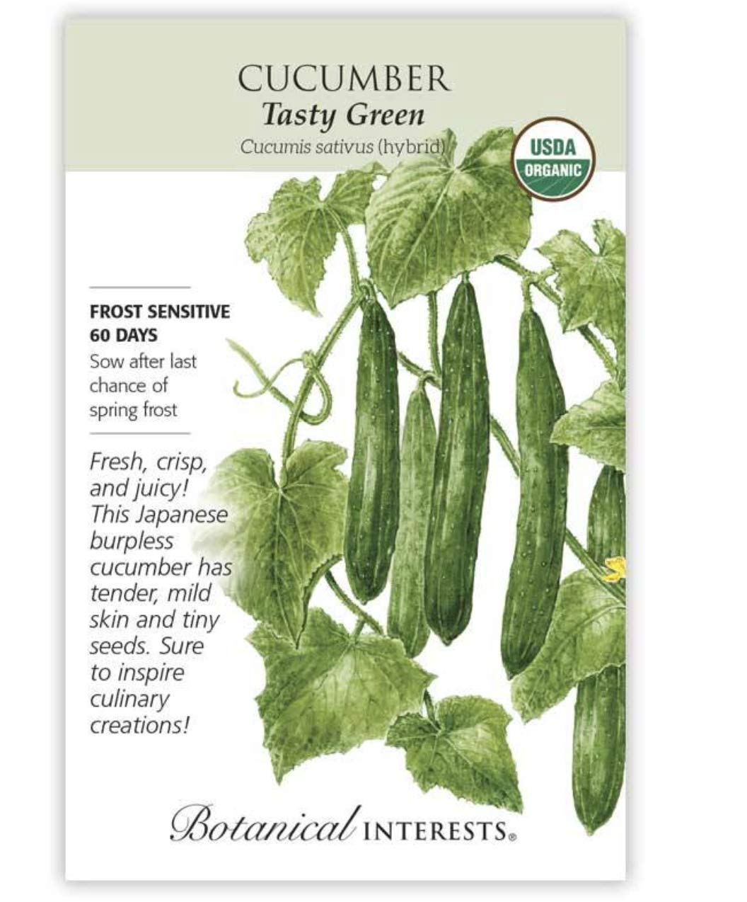 Organic Japanese Tasty Green Cucumber Seeds - Perfect For Home Gardens