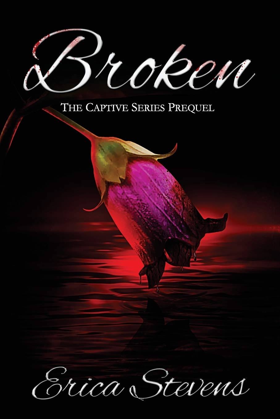 Broken: Prequel (Captive)