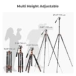 K&F Concept 68" Carbon Fibre Tripod, Camera Tripod with Fluid Head Max Load 11lbs/5kg, Compact Tripod with Monopod Compatible with Canon Sony Nikon DSLR, O255C4+FH-03