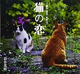 猫の恋
