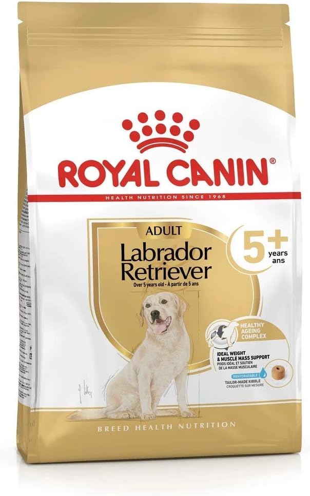 Labrador Retriever Adult 5+ 12kg