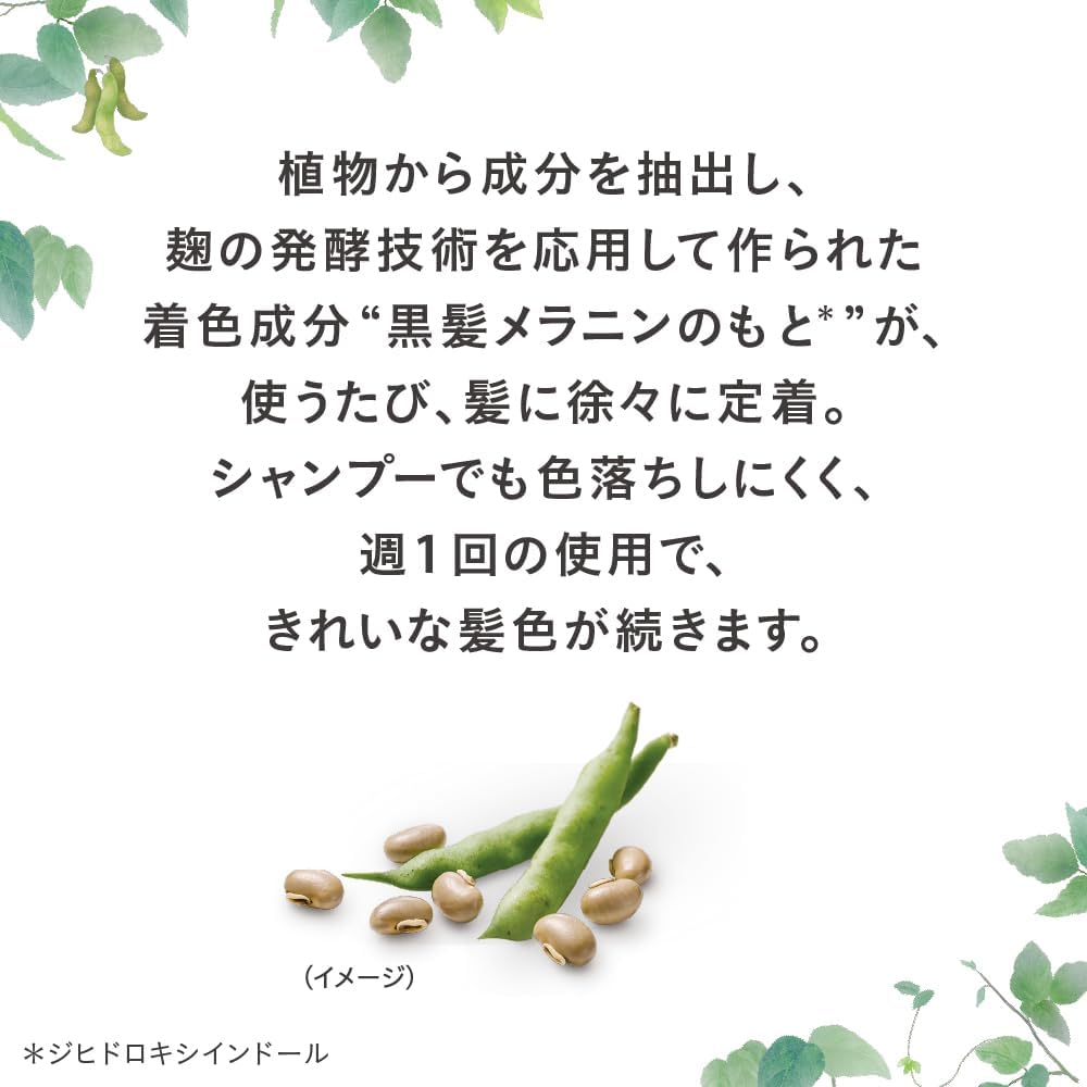 ブローネ リライズ 白髪用髪色サーバー リ・ブラック (自然な黒さ) ふんわり仕上げ クリーム 本体