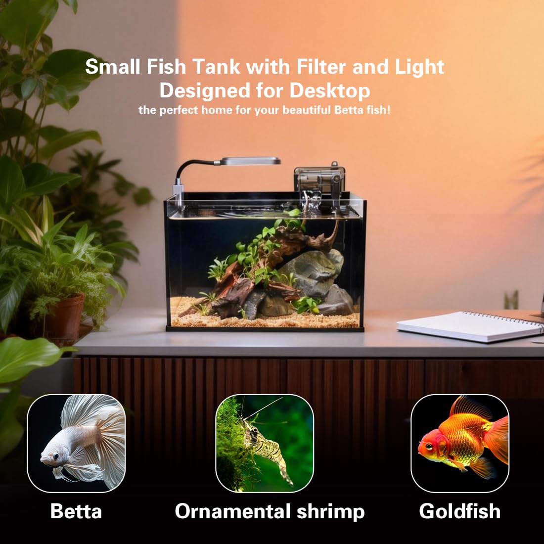 Kit per acquario da 7,5 litri, ultra trasparente, piccolo acquario, nano acquario, acquario Betta, piccolo acquario per pesci, kit per principianti per acquario, con luce, filtro (nero, 30 x 17,8 x
