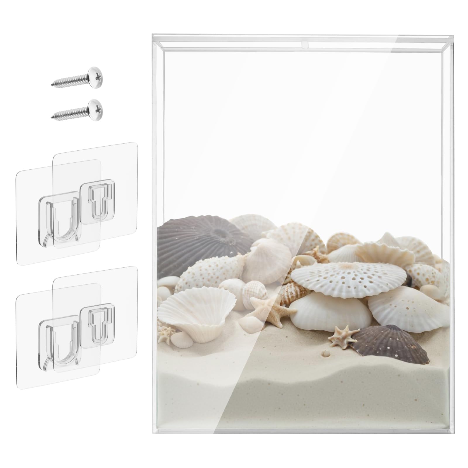 Amazon.com - 8.5 x 11 Inch Clear Acrylic Wall Mount Seashell