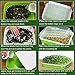 SHUESS 6 Pack Seed Sprouting Tray with Drain Holes BPA Free Nursery Tray Microgreens Growing Trays Wheatgrass Grower Sprouting Container Seed Germination Propagation Trays for Garden Home Office