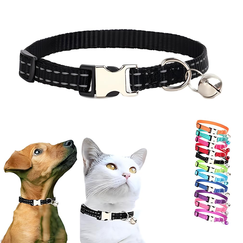 Collier pour chat en nylon haute résistance et boucle métallique premium