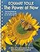 The Power of Now 2017 Engagement Datebook Calendar