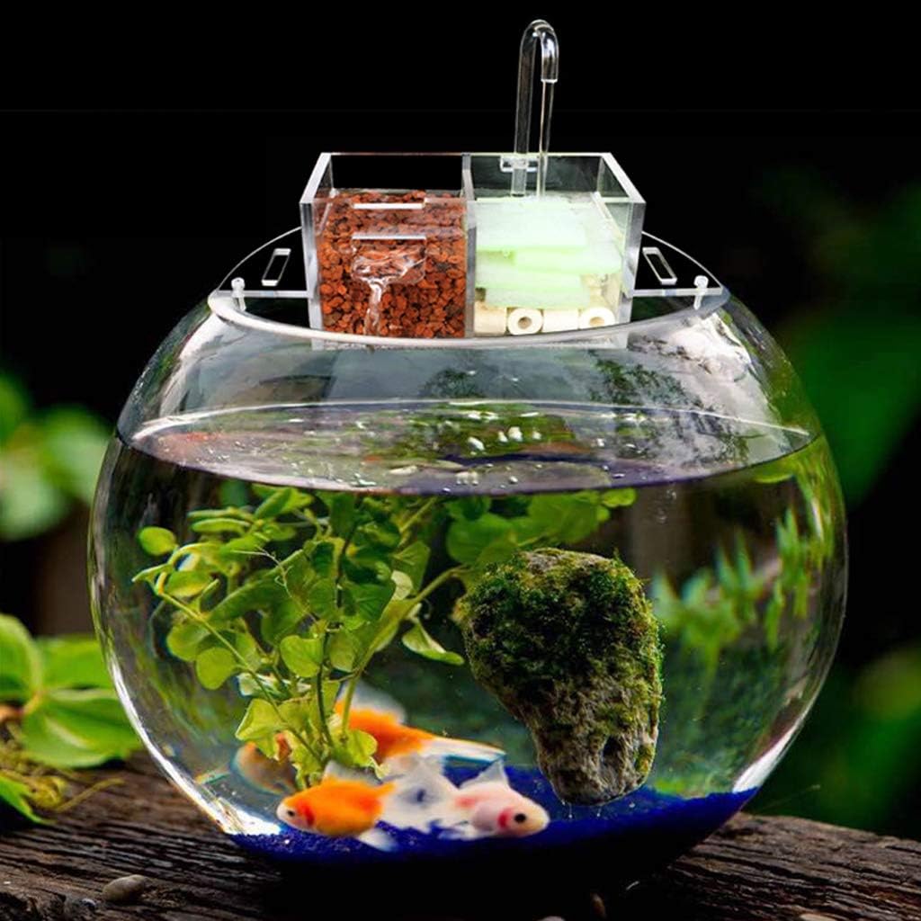 Amazon ウォーターポンプなし 多機能水槽 魚タンク外部フィルターボックス アクリル M F Fityle フィルター用アクセサリー 通販