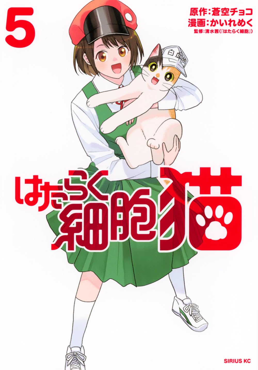 Amazon.co.jp: はたらく細胞 猫(5) (シリウスKC) : かいれ めく, 蒼空