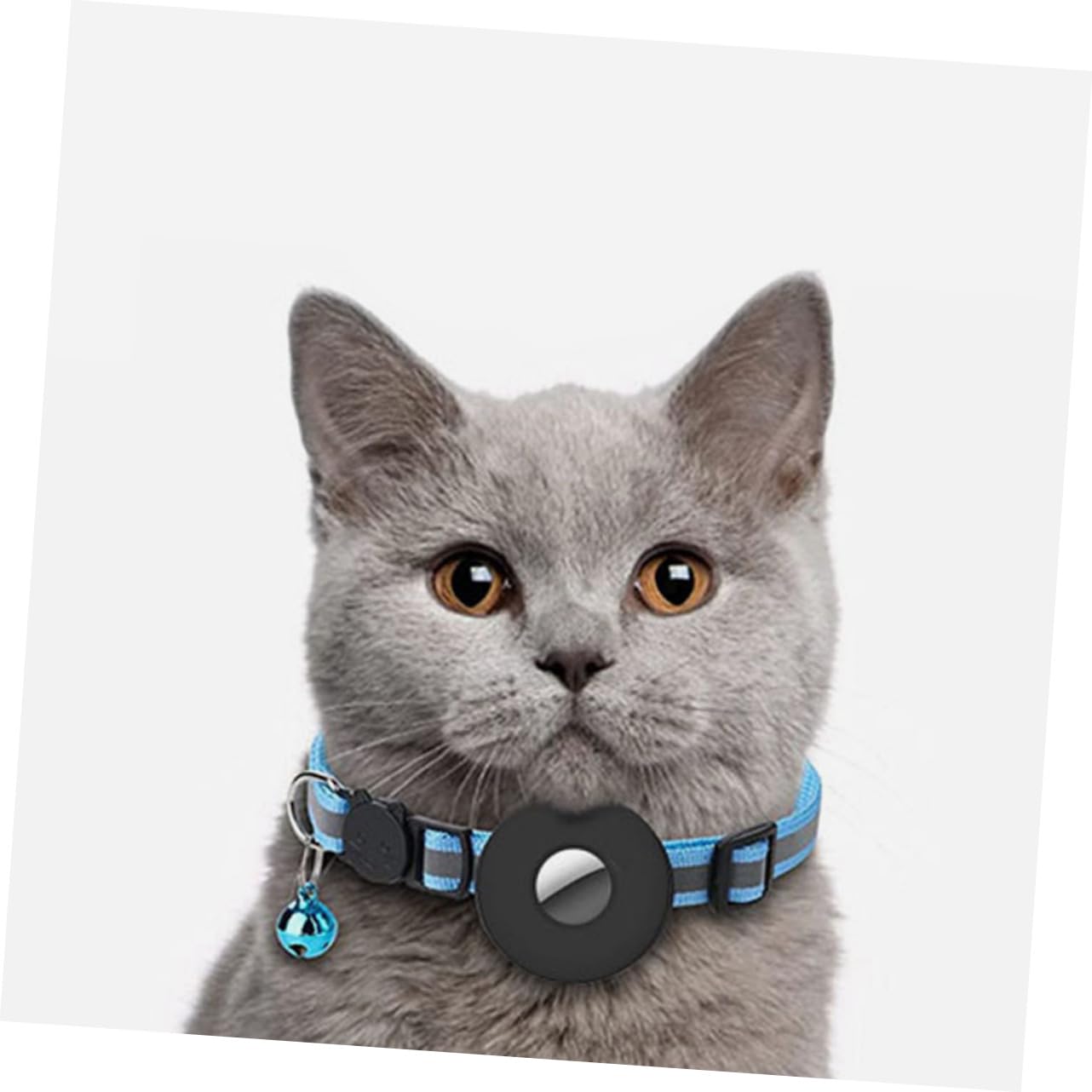 Kisangel 5pièces Collier pour Chat Réfléchissant avec Cloche Et Support Collier Ajustable pour Animaux De Compagnie pour Éviter Les Pertes pour Occasions Spéciales
