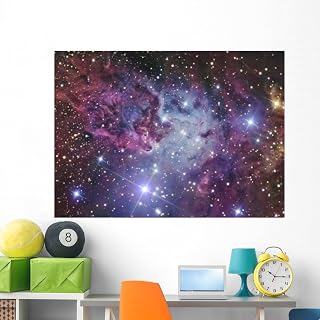 Wallmonkeys Fox Fur Nebula Wall Mural Peel and Stick Outer Space Graphic (60 in W x 43 in H) WM208307