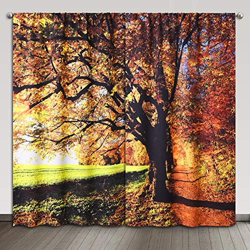 KGORGE Blackout Curtains Botanical Pattern - Nature Autumn Forest Road in Park, Insulated