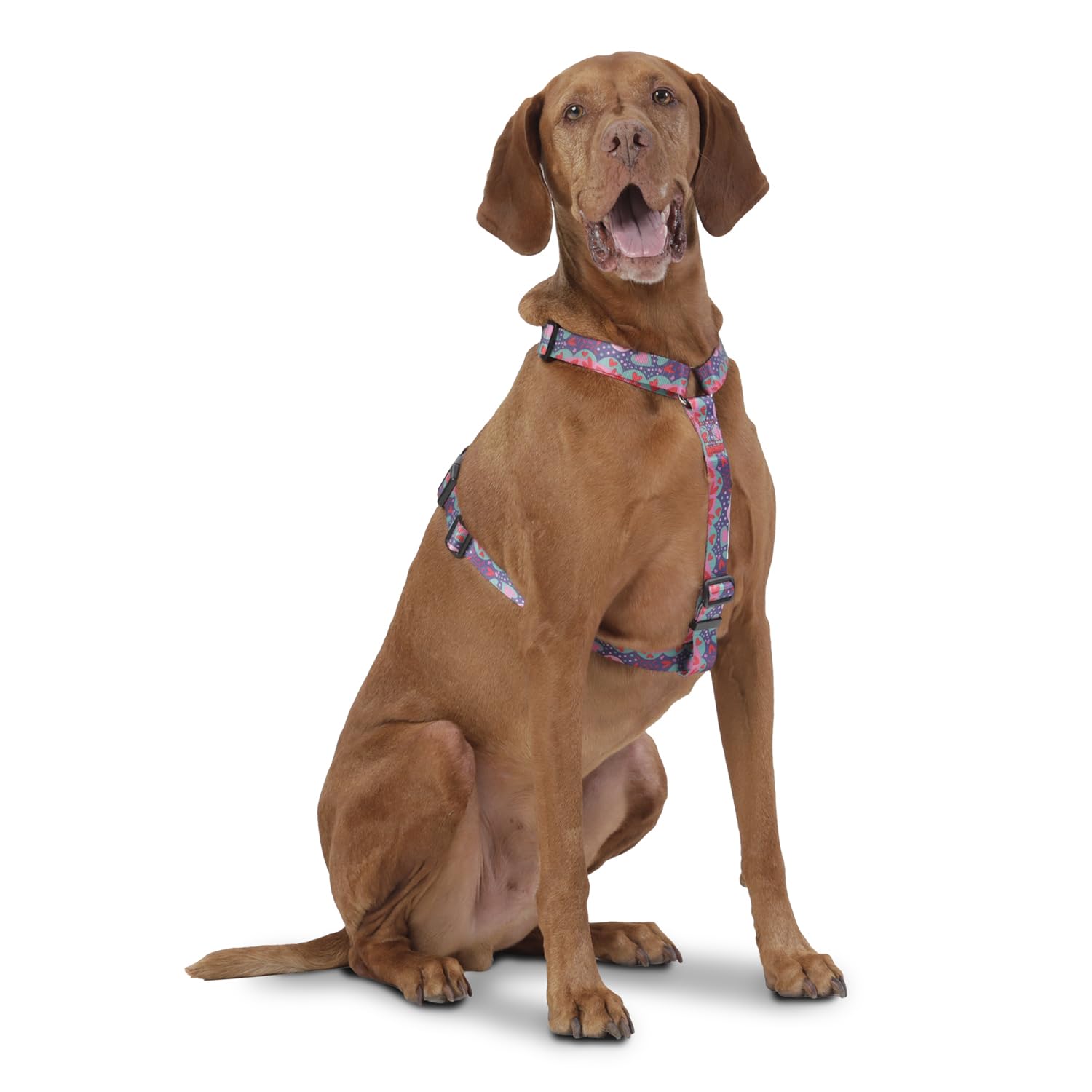 TOTTO, Large Dog Harness, Model Figgo, Size L, Dog Breastplate, Type H, Adjustable, Reduces Pressure in Trachea - Image 3