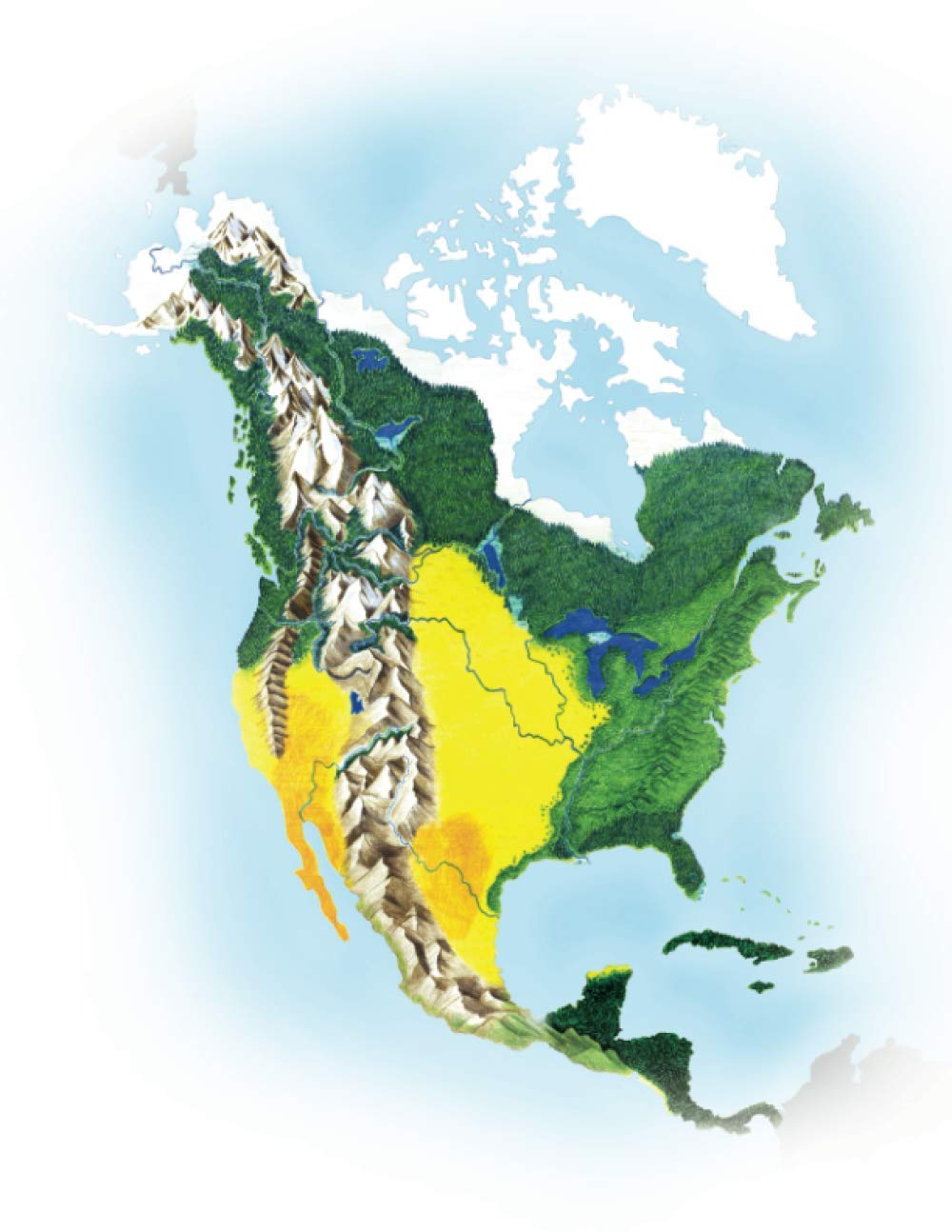 North America