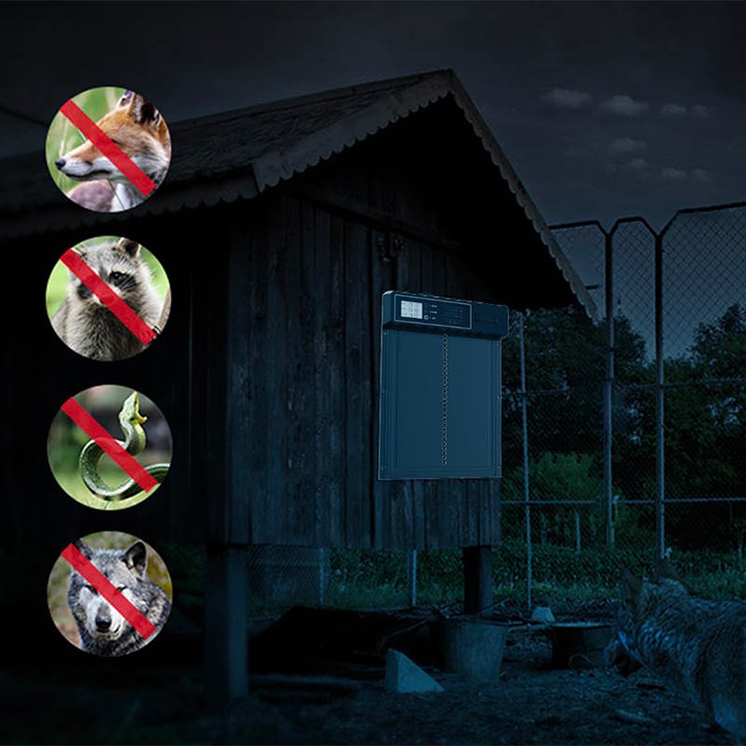 Aka & Lou elektrische Hühnerstalltür mit Zeitschaltuhr und manuell programmierbarem LCD-Bildschirm. Automatische Hühnerklappe mit Batteriebetrieb, groß, robust.