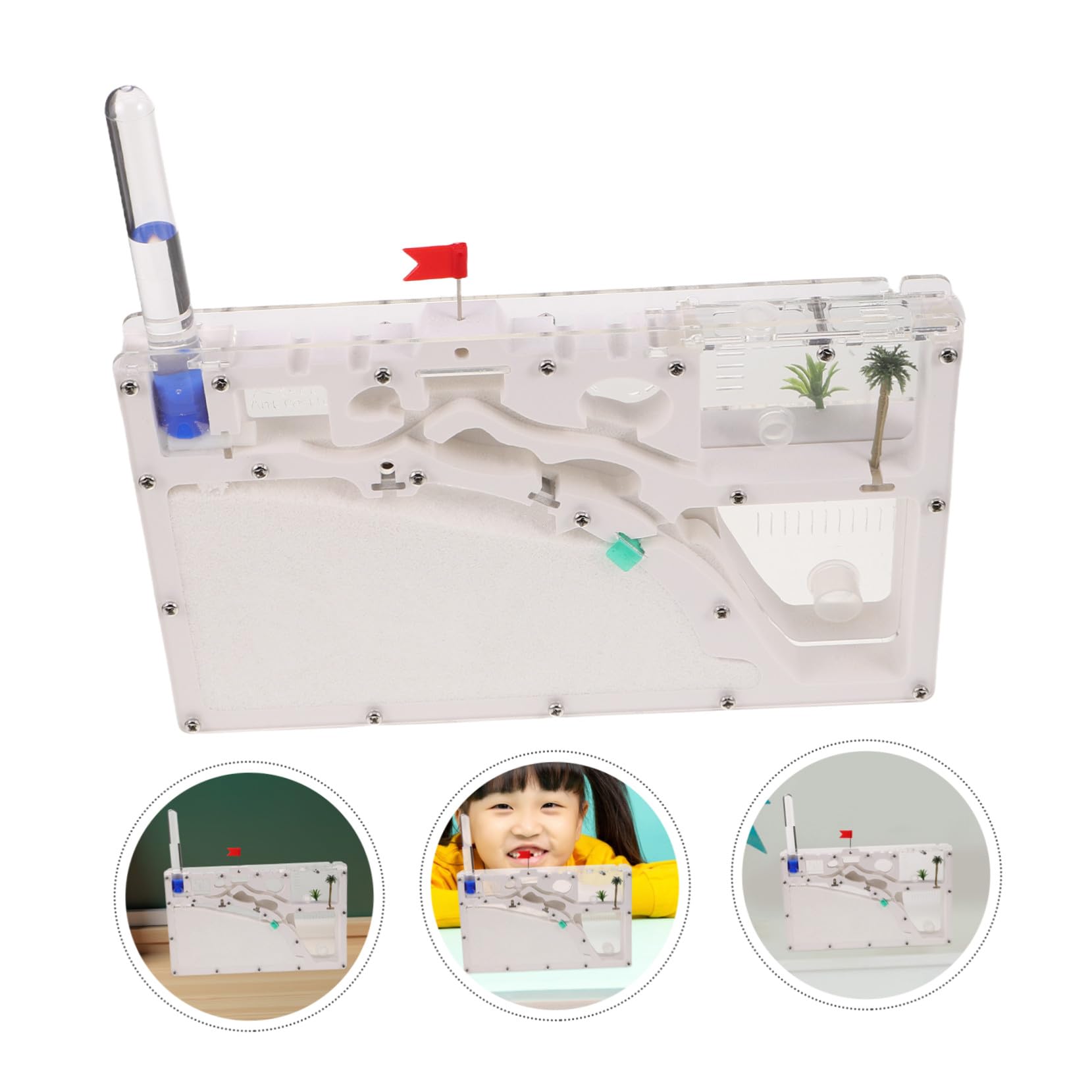 TOYANDONA Juguetes Ecoeducativos Hormiguero Recinto para Insectos Kit de Experimentos Científicos Herramienta de Observación de Insectos para Exploración al Aire Juguete Educativo