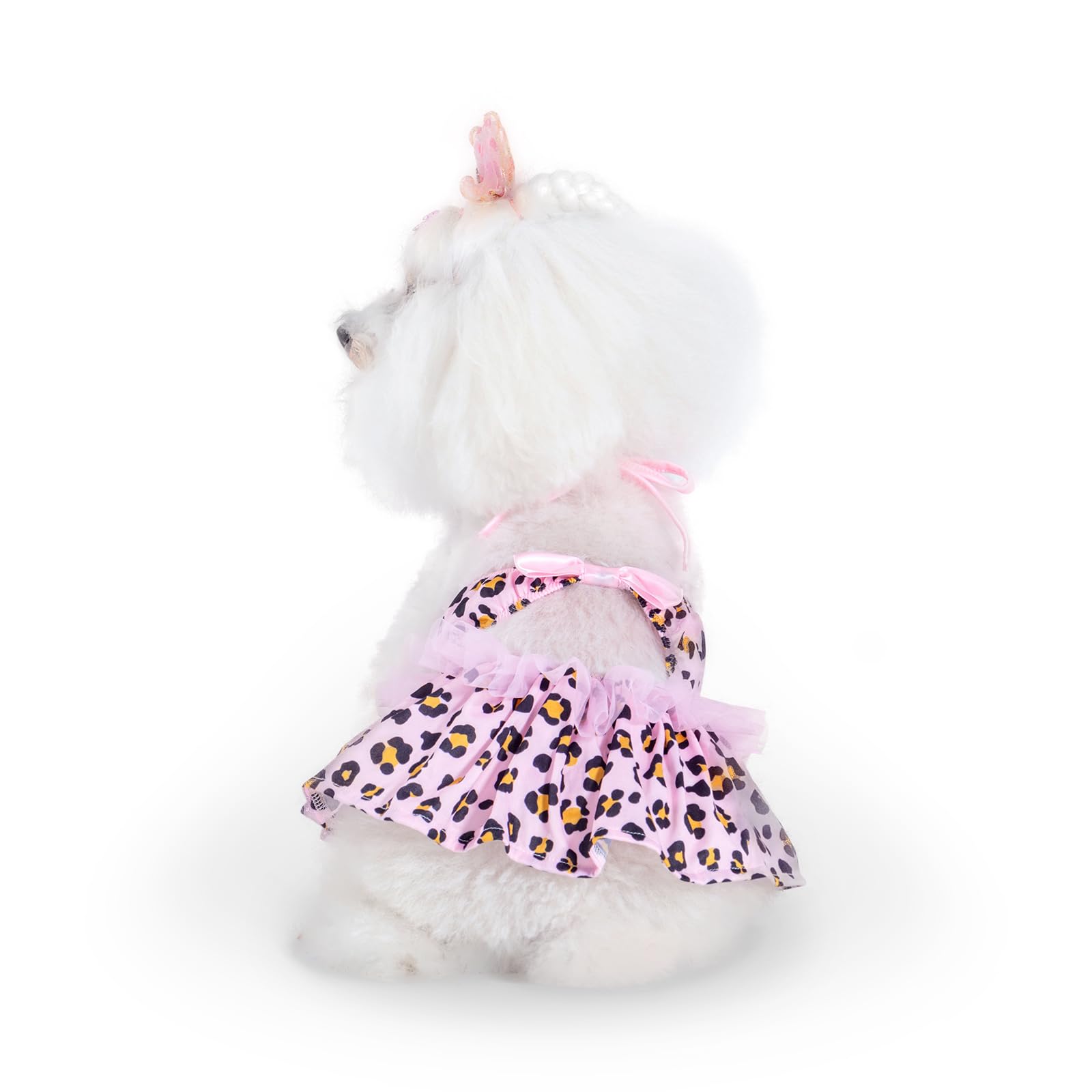 CuteBone One Piece Dog Bikini Swimsuit Dress - Puppy Bathing Suit Costume for Small Dogs - Comfortable &amp; Stylish Pet Clothes for Summer Pool, Beach &amp; Play LTDB02S