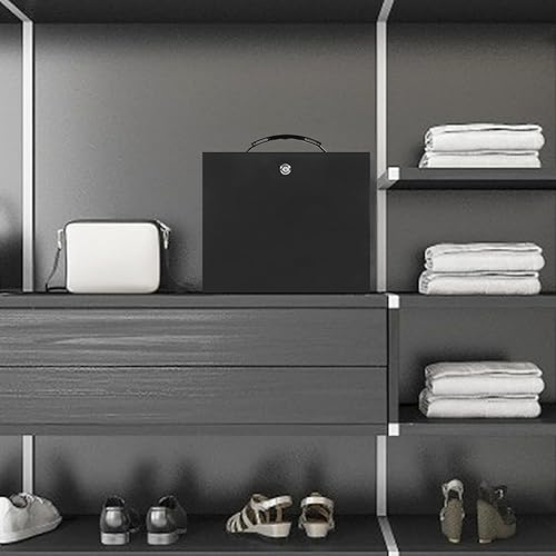 Miniatura 8 de xydled Caja de seguridad resistente al fuego con cerradura de llave para almacenamiento de seguridad de objetos de valor, 13.2 x 11 x 5.1 pulgadas,