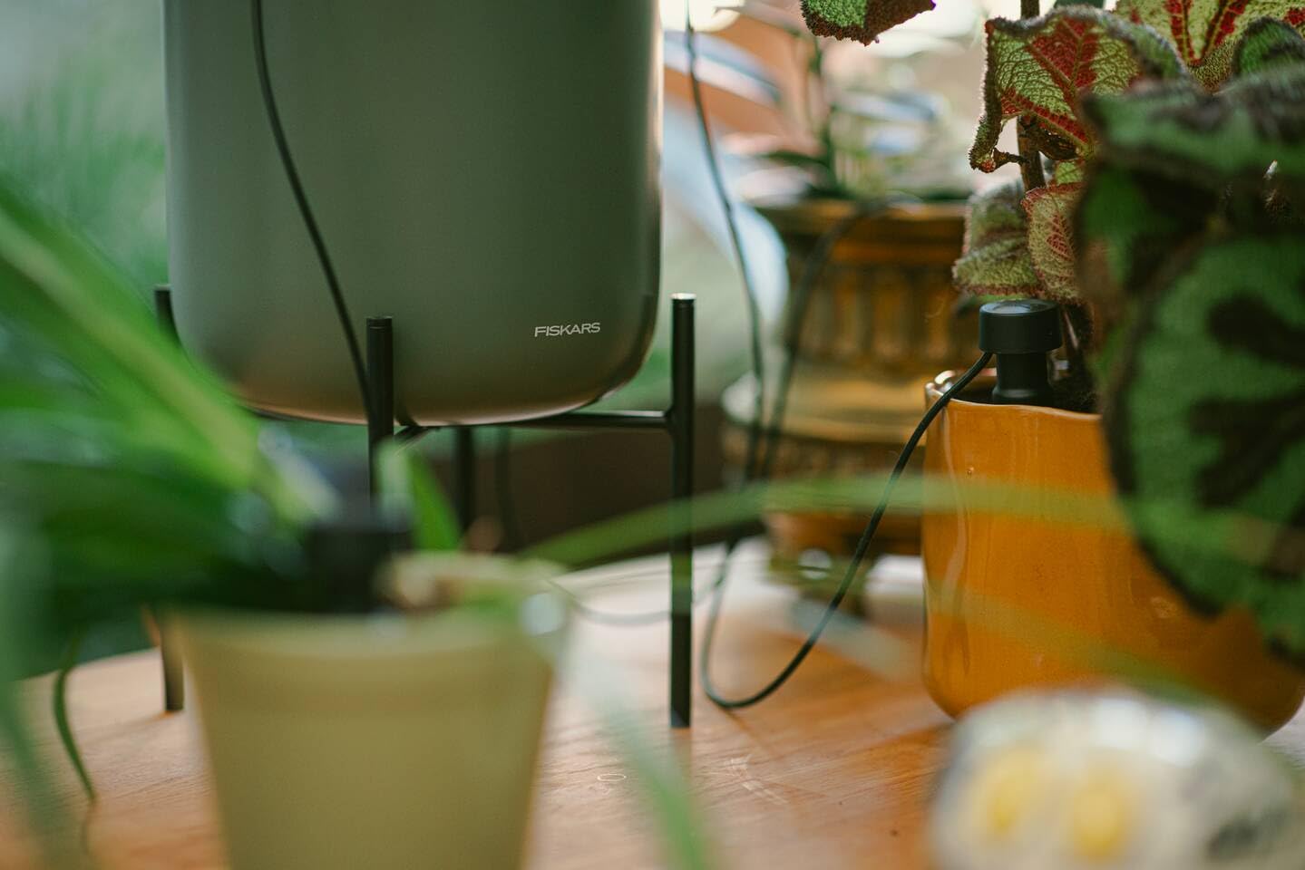 Fiskars Urban Plant Care Sistema di Auto-Irrigazione | Irrigazione Automatica delle Piante, Acciaio Verniciato a Polvere, Verde Scuro/Nero, 1075319