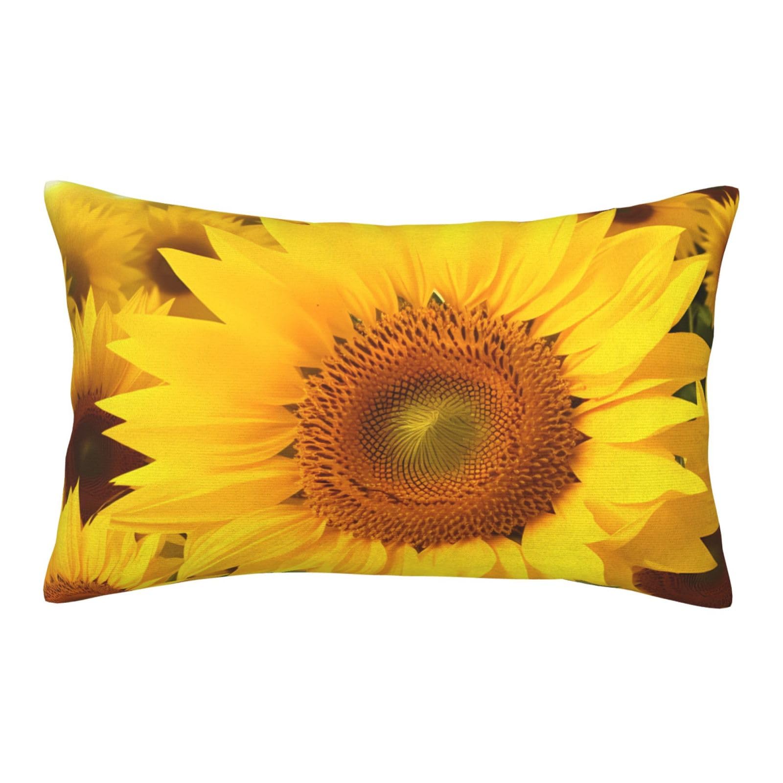 Velvet Pillowcases 16"x24" Ultra Soft Breathable Pillow Cases, Luxury Fuzzy Throw Pillow Covers with Zipper, Sunflowers Pillow Shams All Seasons Decorative Cushion Cases for Couch