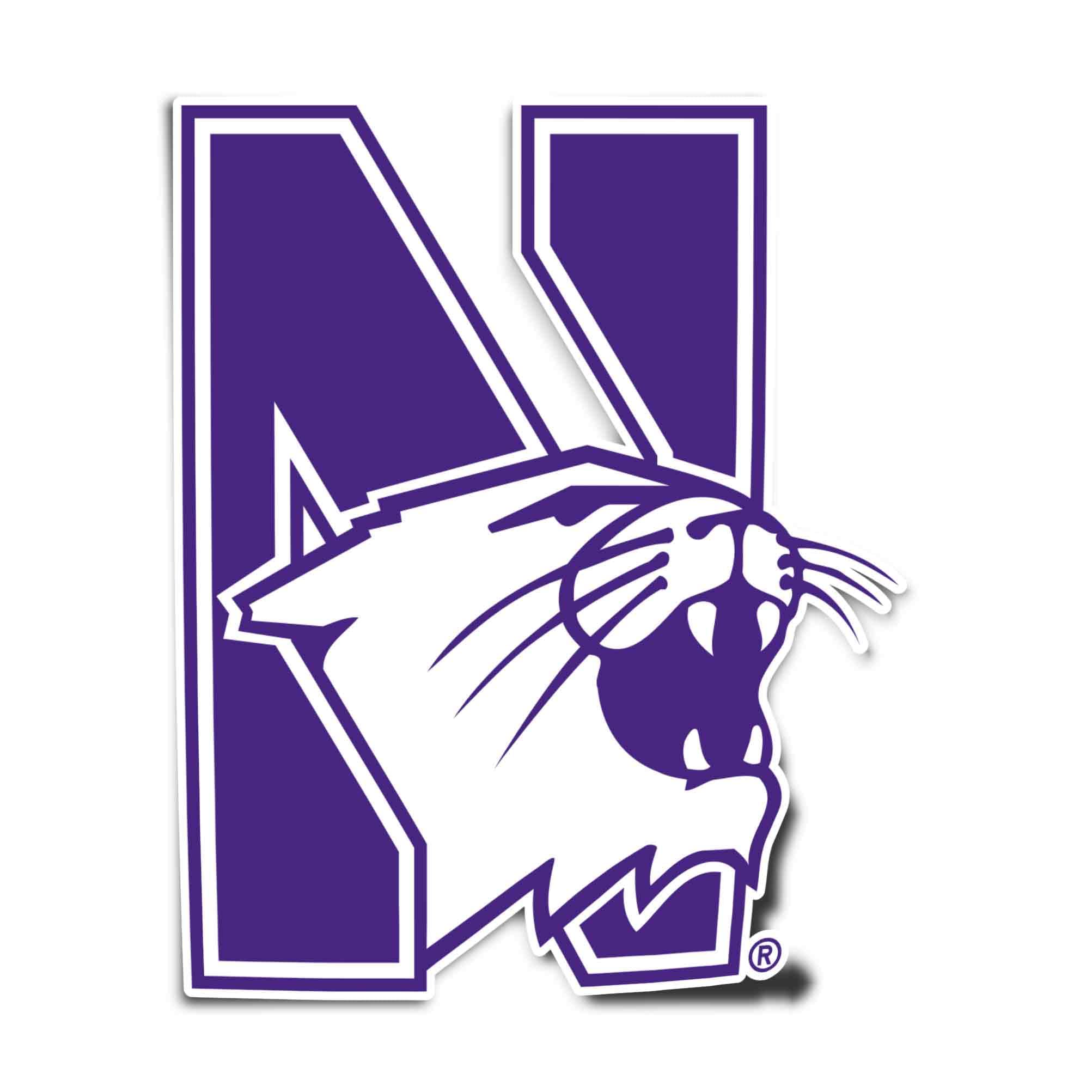 Autocollant Northwestern University vinyle anti-rayures pour gourde et scrapbooking