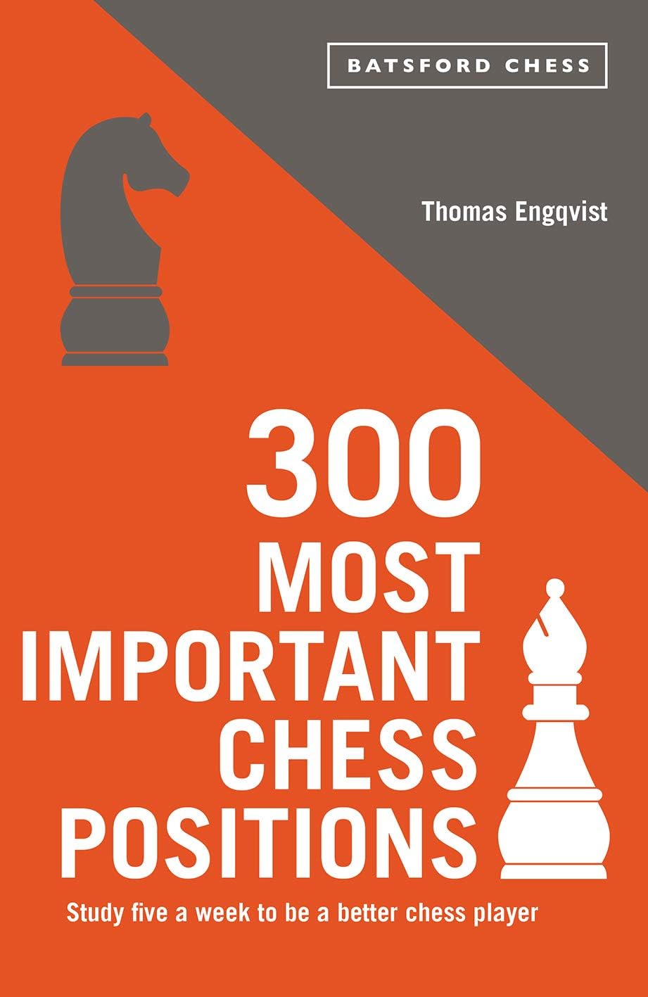 Batsford 300 Most Important Chess Positions