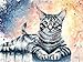 Produktbild Wowdecor DIY Malen nach Zahlen Kits Geschenk für Erwachsene Kinder, Malen nach Zahlen Home Haus Dekor - Graue Katze 40 x 50 cm Rahmen