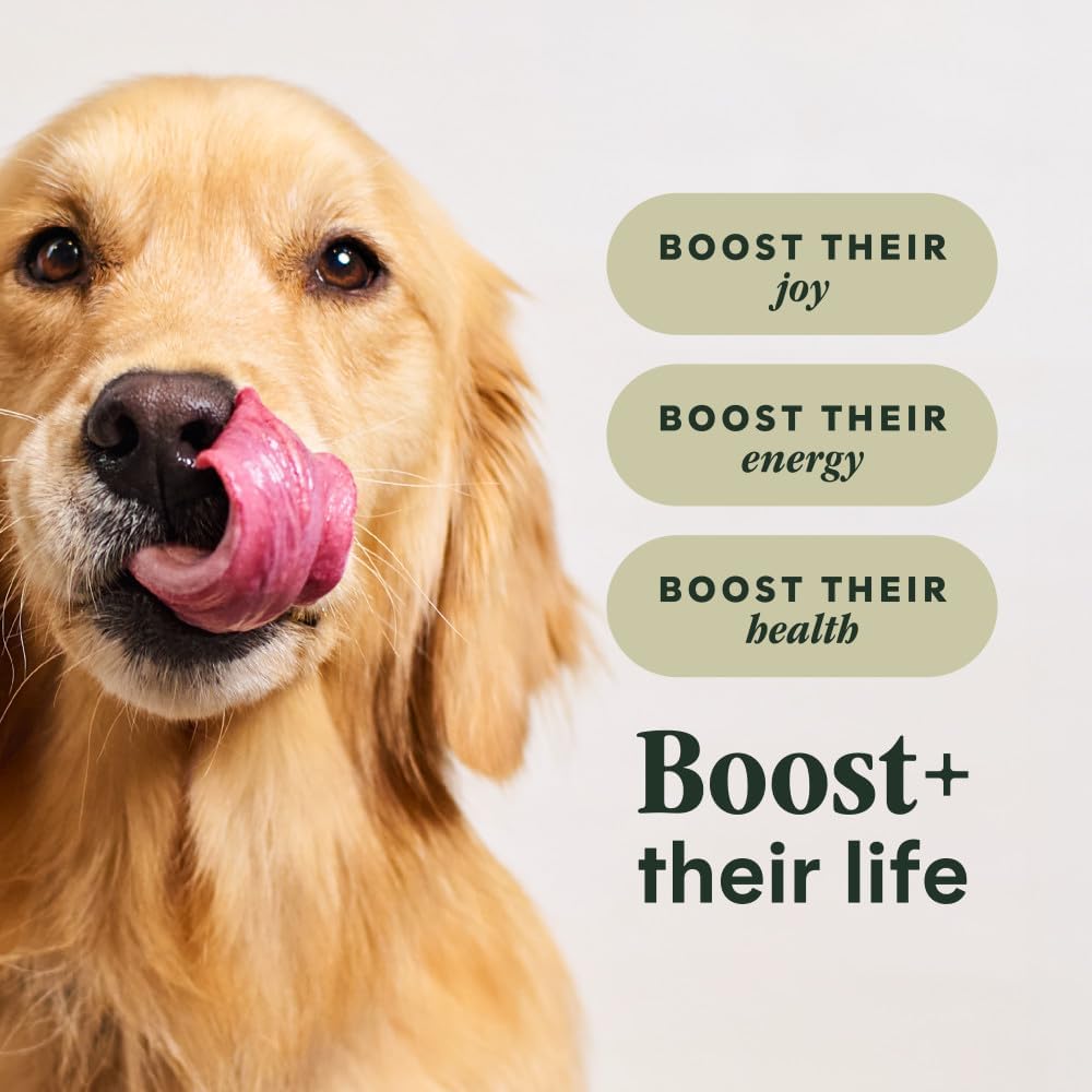 Instinct RawBoost, Natural Dry Dog Food with FreshDried Raw, Whole Grain Recipe - Real Salmon & Brown Rice, 3.5 lb. Bag