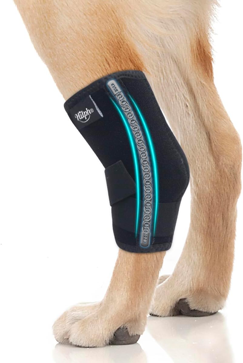 BT Bear Dog Leg Braces, Dog Hock Joint Brace with Two Metal Spring