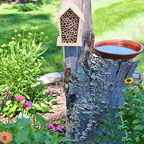 ZPSHYD Wooden Insect House, 5.5x3.9x3.1in Paulownia Wooden Hanging Insect Hotel Wood Shelter Nesting Box Outdoor Garden Decoration for Garden Balcony Patio Yard for Bee, Butterfly, Ladybirds - Image 5