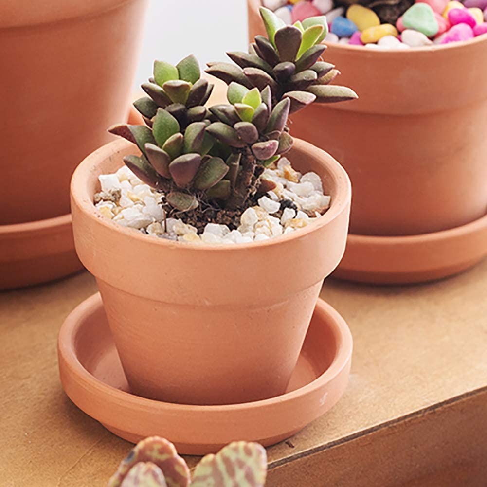 Briful 12 Stück Mini Terrakotta Topf 7.9 x 7.4 cm Blumentöpfe Tontöpfe mit Untersetzer und Abflussloch Sukkulenten Töpfe Kräutertopf ideal für Pflanzen Basteln Hochzeitsgeschenk