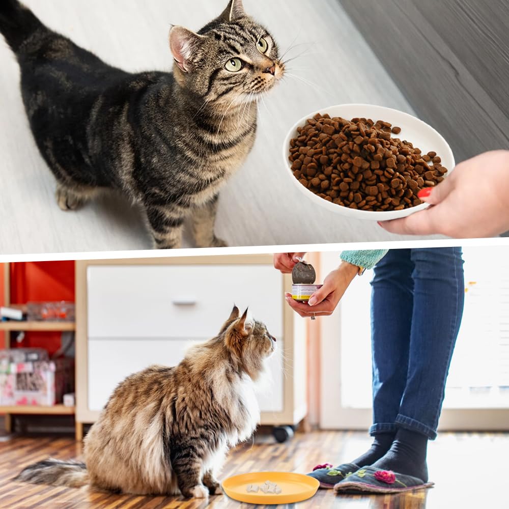 fred & felia hundefutter test FRED Premium Trockenfutter Schwein I FRED & FELIA