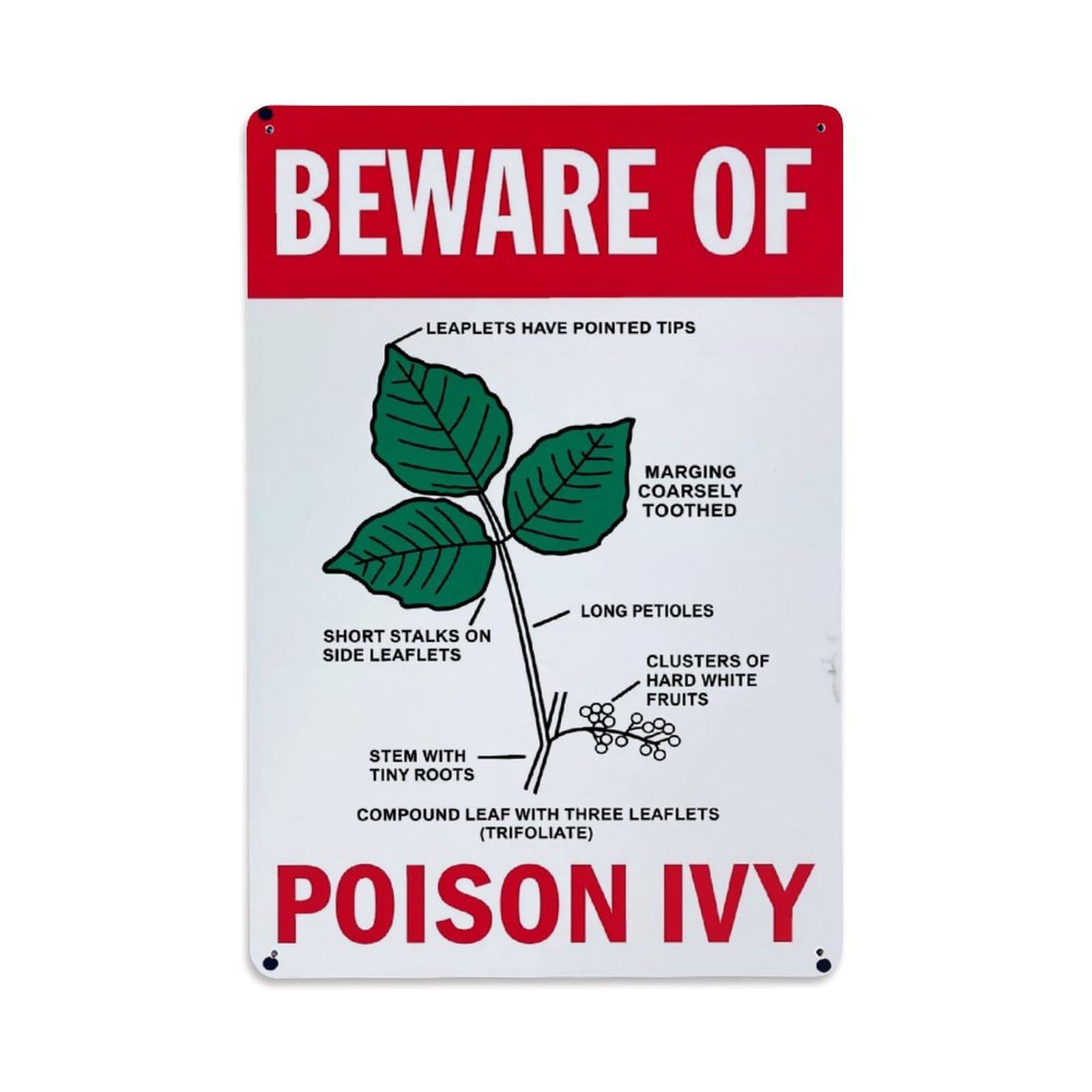 Nestemfo Vintage Beware Of Poison Ivy Plant Tin Sign Metal Sign, Living Room,Bar, Home, Bedroom Wall Decor,Retro Metal Poster 8X12 Inches