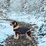 Queenmore Wintermantel Hund Wasserdicht Hundemantel Winter Kleine Hunde Warme Fleecemantel Hundejacke Quilten Hundebekleidung Hundepullover Für Dackel Chihuahua Pudel Bulldogge Beagle, Blau, S