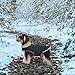 Queenmore Wintermantel Hund Wasserdicht Hundemantel Winter Kleine Hunde Warme Fleecemantel Hundejacke Quilten Hundebekleidung Hundepullover Für Dackel Chihuahua Pudel Bulldogge Beagle, Blau, S