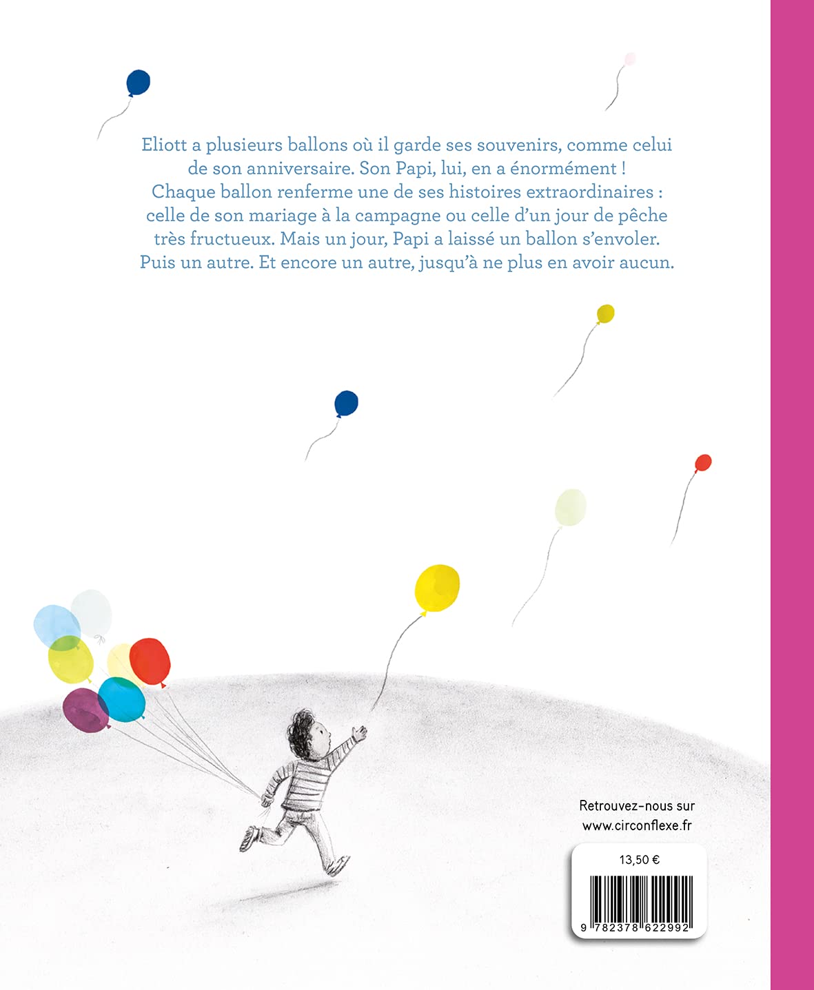 Image secondaire de Les Ballons du Souvenir - Un Voyage Émotionnel