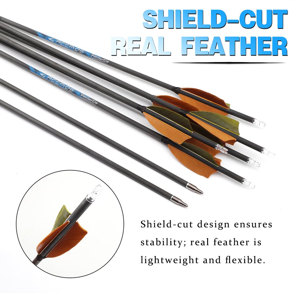 12 Stück Jagdpfeile ID 6,2 mm Spine 250 300 350 400 500 600 700 800 Mikrospiral-Feder Pfeil, für Recurvebogen Compoundbogen Bogenschießen