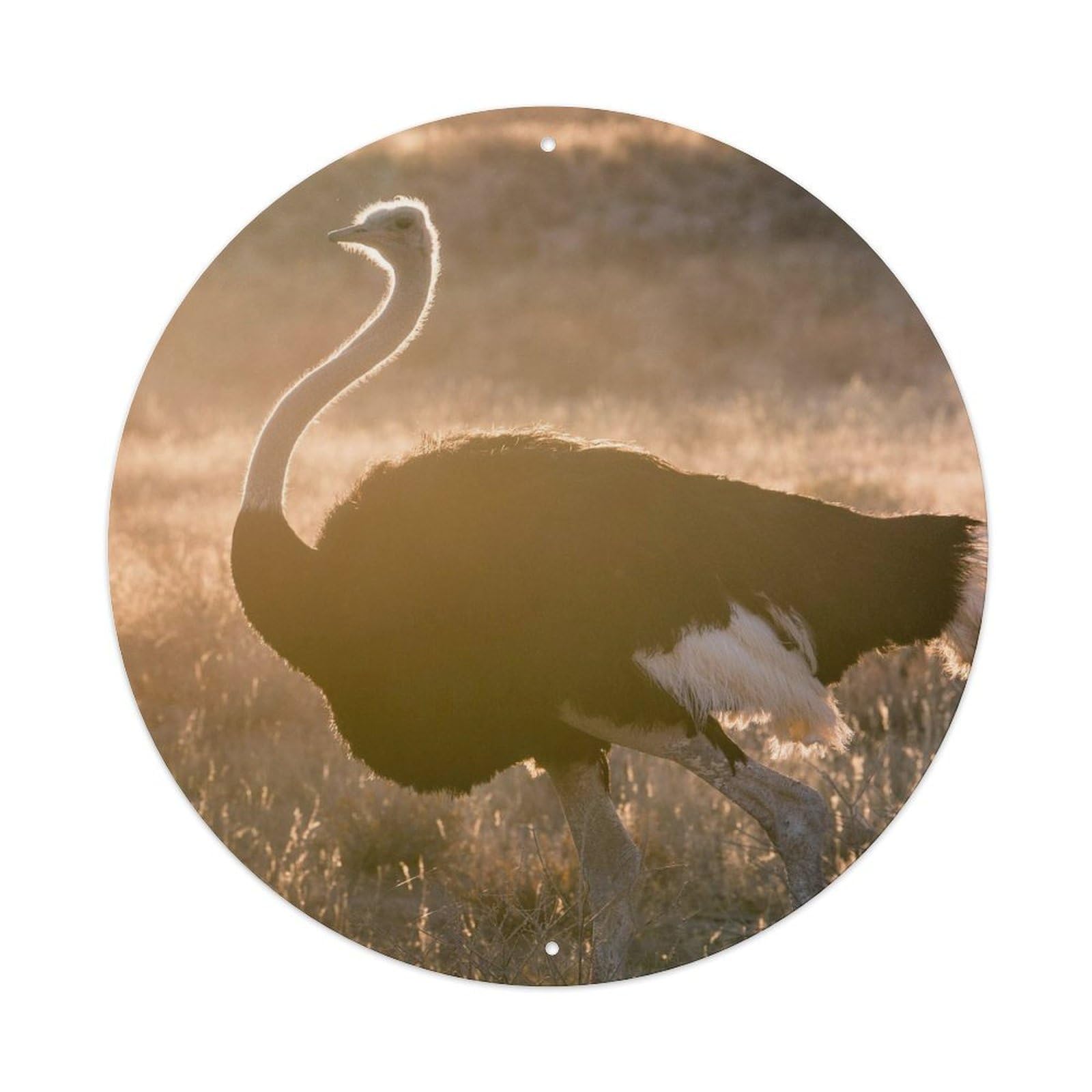 Wildlife Southern Ostrich Vintage Metal Tin Sign Plaque Wall Decor for Cafe, Club, Garden Round Metal Poster 8x8Inch