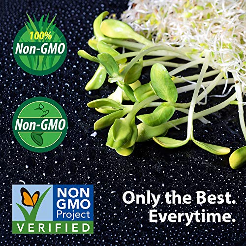 2 Lb Organic Non-GMO Whole Oat Grain Seeds (With Husk Intact) - Oats Seed Grains, for Sprouting, Oat Grass, Animal Feed, Storage & More - Thumbnail 4